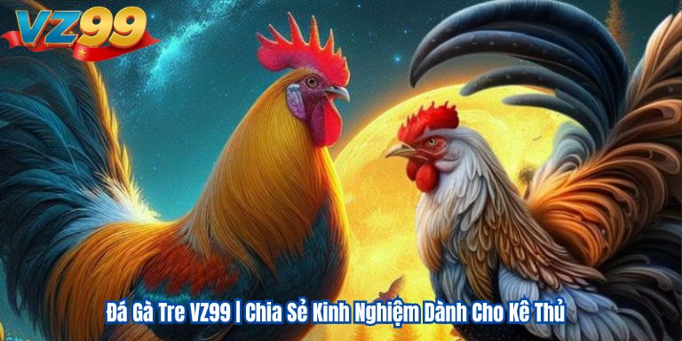 Đá Gà Tre VZ99 | Chia Sẻ Kinh Nghiệm Dành Cho Kê Thủ 5 da-ga-tre-vz99-chia-se-kinh-nghiem-danh-cho-game-thu