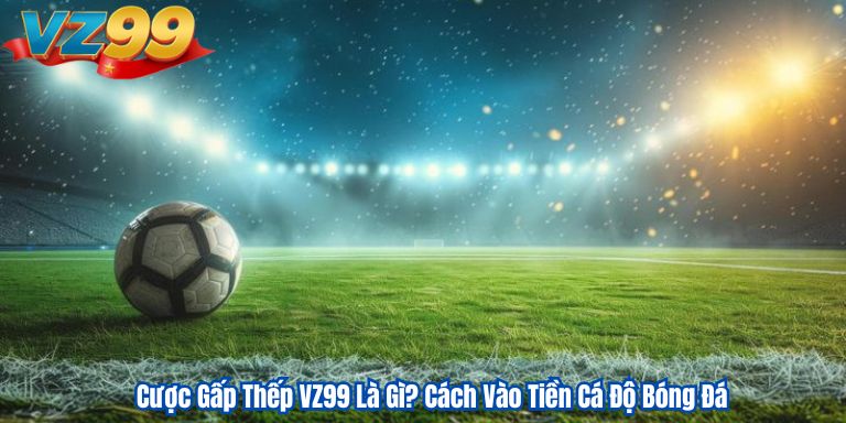 Cược Gấp Thếp VZ99 Là Gì? Cách Vào Tiền Cá Độ Bóng Đá 3 Cược Gấp Thếp VZ99 Là Gì? Cách Vào Tiền Cá Độ Bóng Đá