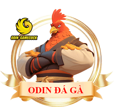 VZ99 37 odin đá gà